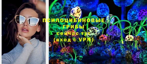 хмурый Алексеевка