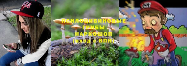 ПСИЛОЦИБИНОВЫЕ ГРИБЫ Алексин