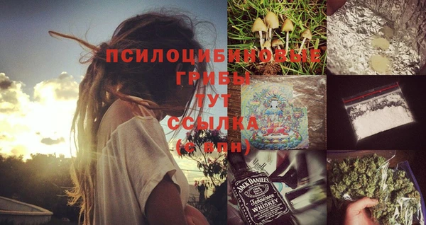 ПСИЛОЦИБИНОВЫЕ ГРИБЫ Алексин
